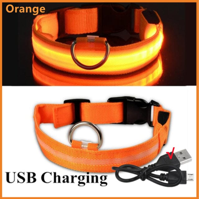 LED Hundhalsband