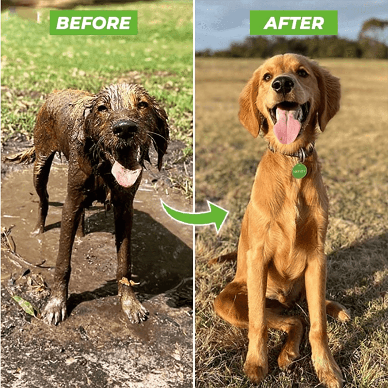 CLEANDOG Hydro Jet Hunddusch med Skumfunktion