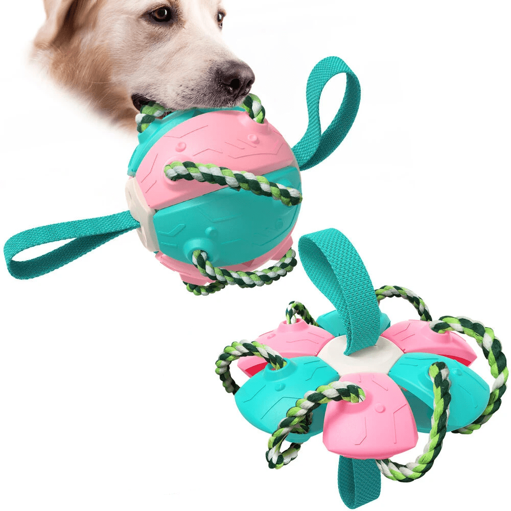 Frisbeeboll - Hundleksak