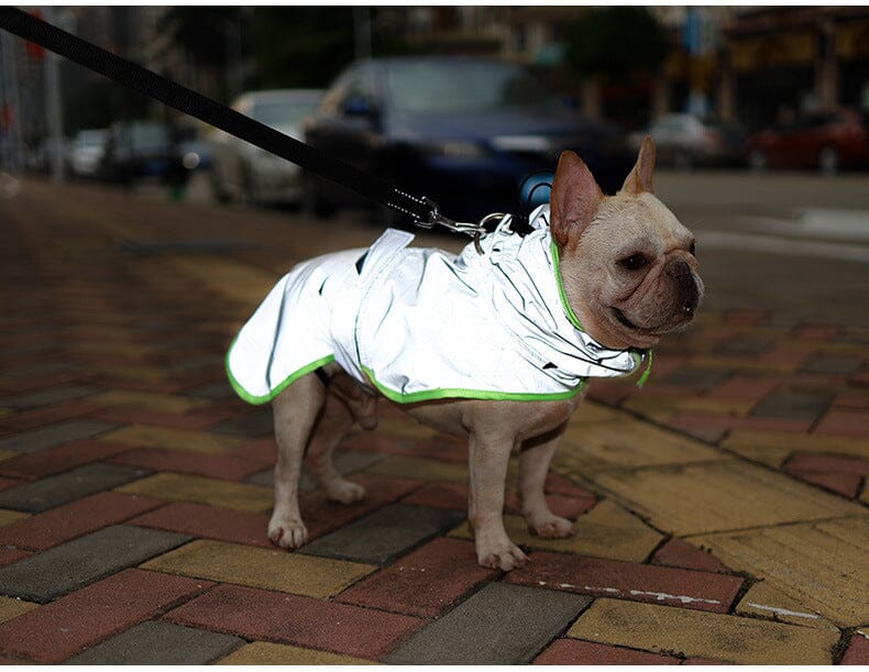 Heltäckande Reflextäckte till Hund