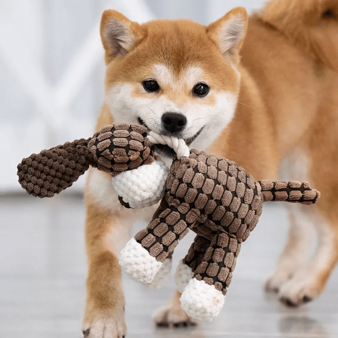 Hållbar leksaksdjur för hund