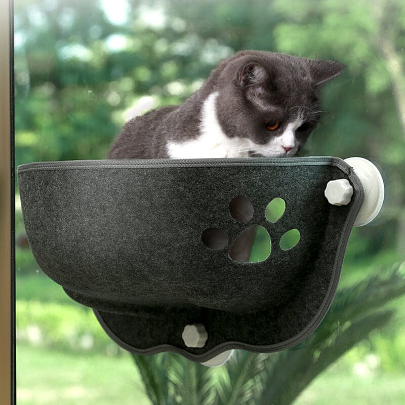 Solsäng för katter – Fönsterbädd med sugproppsfäste
