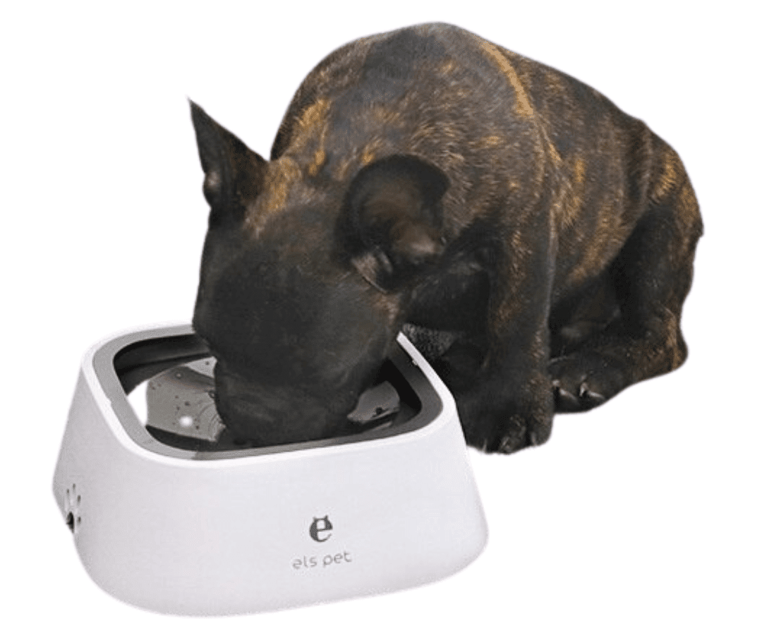 SpillFri™ Vattenskål 1,5L – Antiskvalp för Hund & Katt