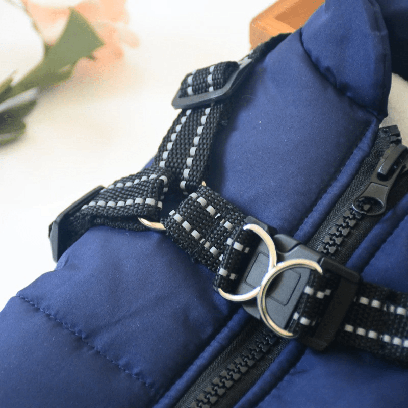 Hundjacka med inbyggd sele – varm med reflex