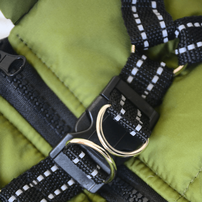 Hundjacka med inbyggd sele – varm med reflex