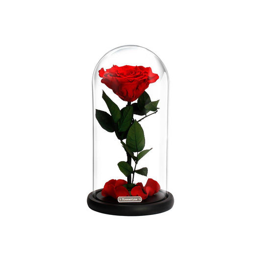 A Lovely Eternal Devotion Rose Box-1